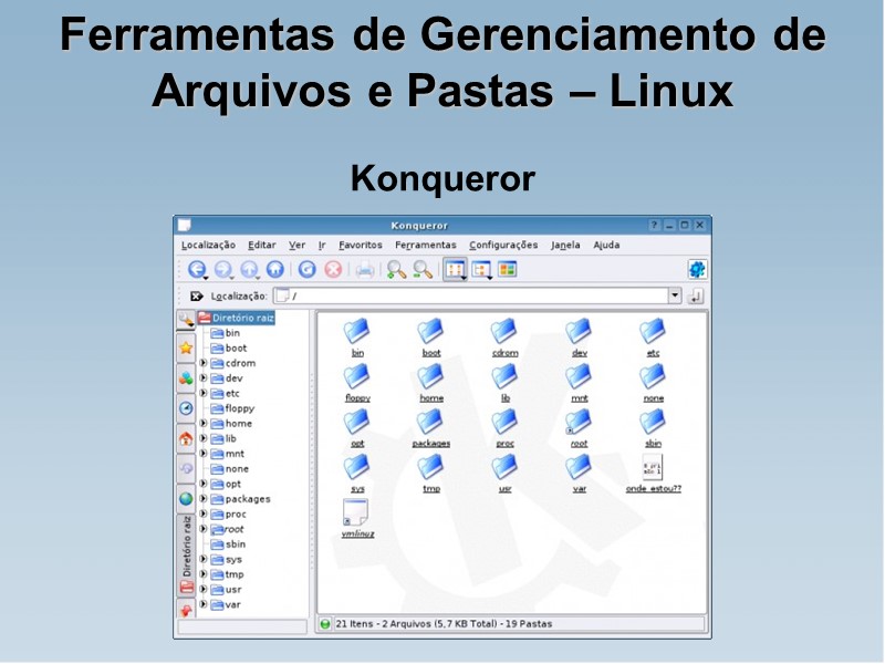 Ferramentas de Gerenciamento de Arquivos e Pastas – Linux Konqueror